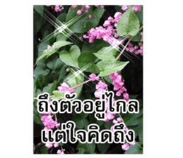 Happy flower garden sticker #14028659