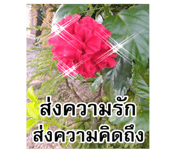 Happy flower garden sticker #14028661