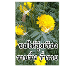 Happy flower garden sticker #14028662