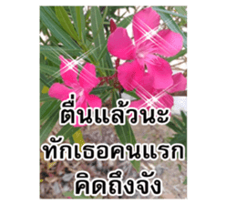 Happy flower garden sticker #14028663