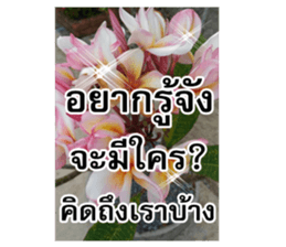 Happy flower garden sticker #14028664