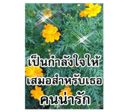 Happy flower garden sticker #14028665