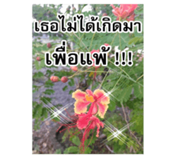 Happy flower garden sticker #14028666