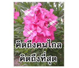 Happy flower garden sticker #14028667