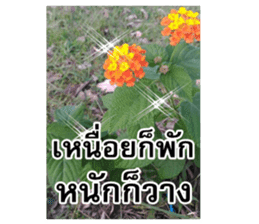 Happy flower garden sticker #14028668