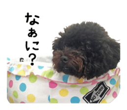 Sticker of a dog and a cat sticker #14030208