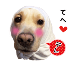 Sticker of a dog and a cat sticker #14030209