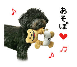 Sticker of a dog and a cat sticker #14030219