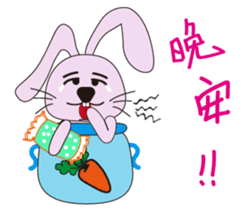 Aquarius rabbits -The first bottle sticker #14031562
