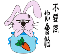 Aquarius rabbits -The first bottle sticker #14031570