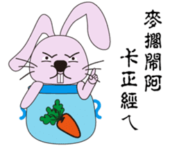 Aquarius rabbits -The first bottle sticker #14031573