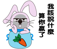 Aquarius rabbits -The first bottle sticker #14031577