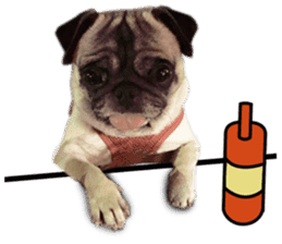 Dog Pug Sakura sticker #14032160