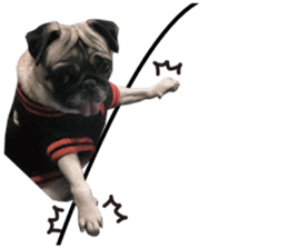 Dog Pug Sakura sticker #14032171