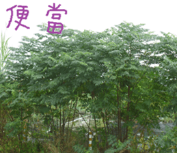 Green and green landscape photos sticker #14032272