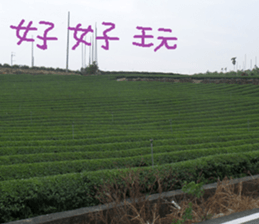 Green and green landscape photos sticker #14032273