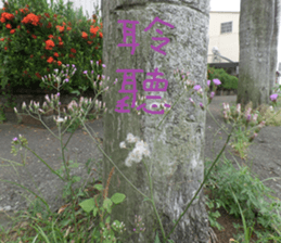 Green and green landscape photos sticker #14032275