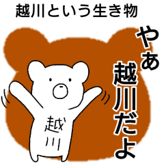 A creature called koshikawa