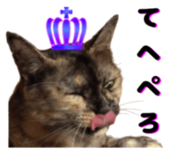 An unfriendly cat's sticker #14033494