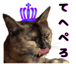 An unfriendly cat's sticker #14033494