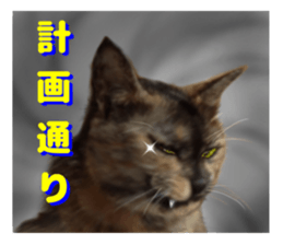 An unfriendly cat's sticker #14033495