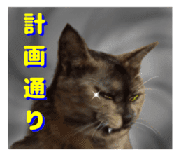An unfriendly cat's sticker #14033495
