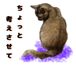 An unfriendly cat's sticker #14033497
