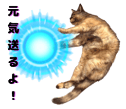 An unfriendly cat's sticker #14033503