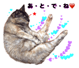 An unfriendly cat's sticker #14033504