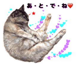 An unfriendly cat's sticker #14033504