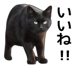 Happy black cats sticker #14034071