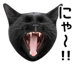 Happy black cats sticker #14034077