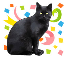 Happy black cats sticker #14034081