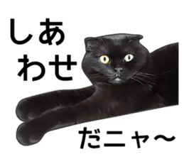 Happy black cats sticker #14034083