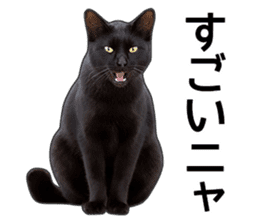 Happy black cats sticker #14034087