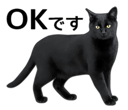 Happy black cats sticker #14034088