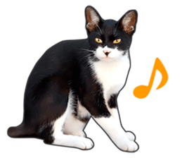 Happy black and white cats sticker #14034305