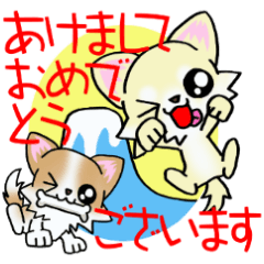 White and Cream puppy's New Year!