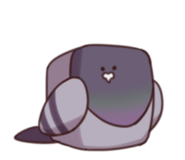 CUBE PIGEON sticker #14035102