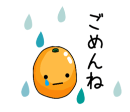 Daily life of kumquats sticker #14035320