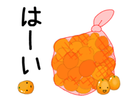 Daily life of kumquats sticker #14035324