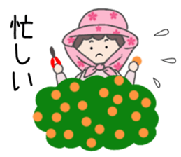 Daily life of kumquats sticker #14035336