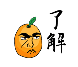 Daily life of kumquats sticker #14035351