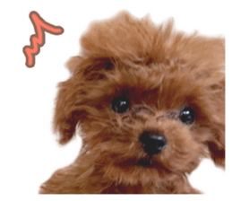 Kuritaro-chan sticker #14035607