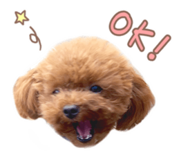 Kuritaro-chan sticker #14035608