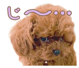 Kuritaro-chan sticker #14035609