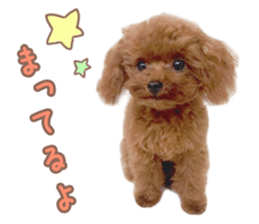 Kuritaro-chan sticker #14035610