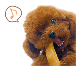 Kuritaro-chan sticker #14035611