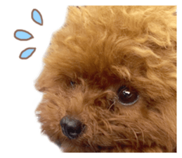 Kuritaro-chan sticker #14035613