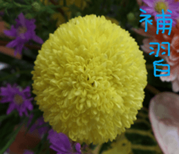 Beautiful Purple Purple Photo sticker #14038166